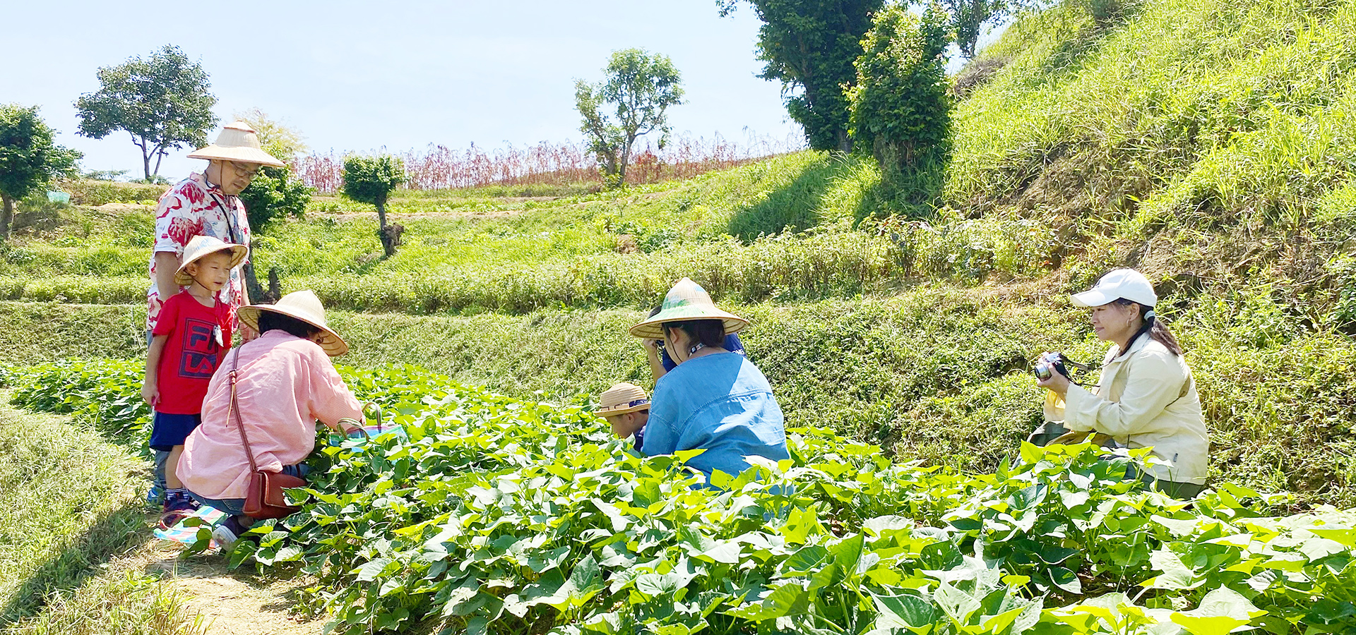 依天氣、節氣、土壤等因素，以友善的栽培方式種植適合在園區內生長的蔬菜及水果