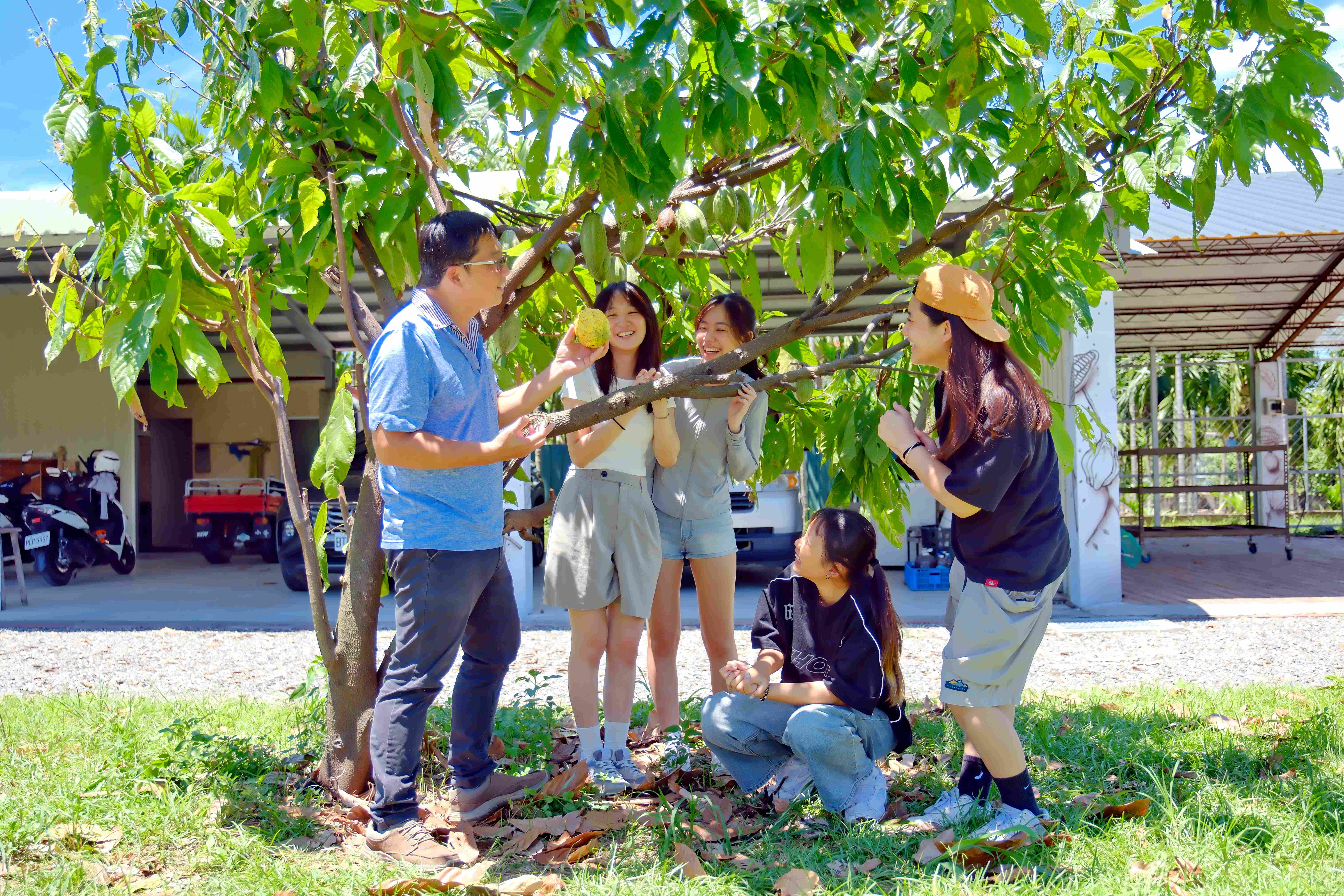 吃巧克力前，先看看它在樹上的樣子，熱帶水果自帶有山竹與釋迦的香氣。