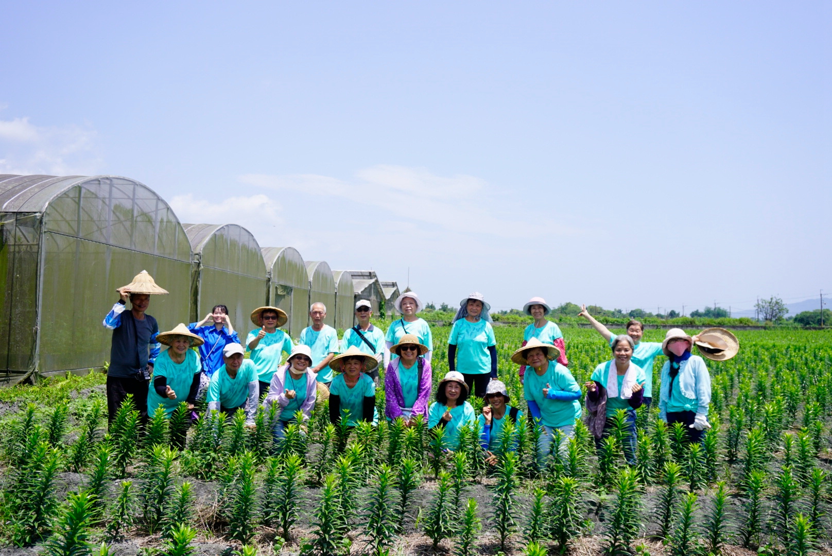 食用百合生態導覽體驗，是遊客最愛的遊程。(江玉寶有機農場提供)