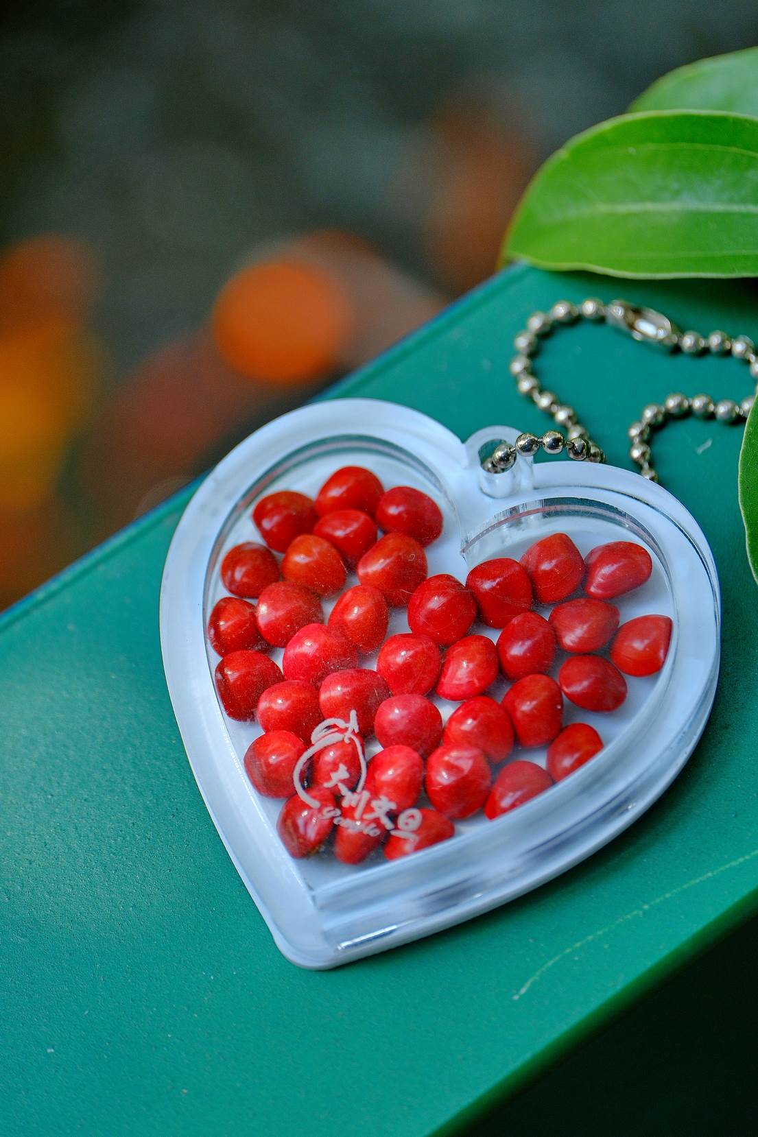 園區內種植海紅豆，又名相思豆，「相思豆吊牌」，因種子形似紅心而被戀人用來表達思慕之意。