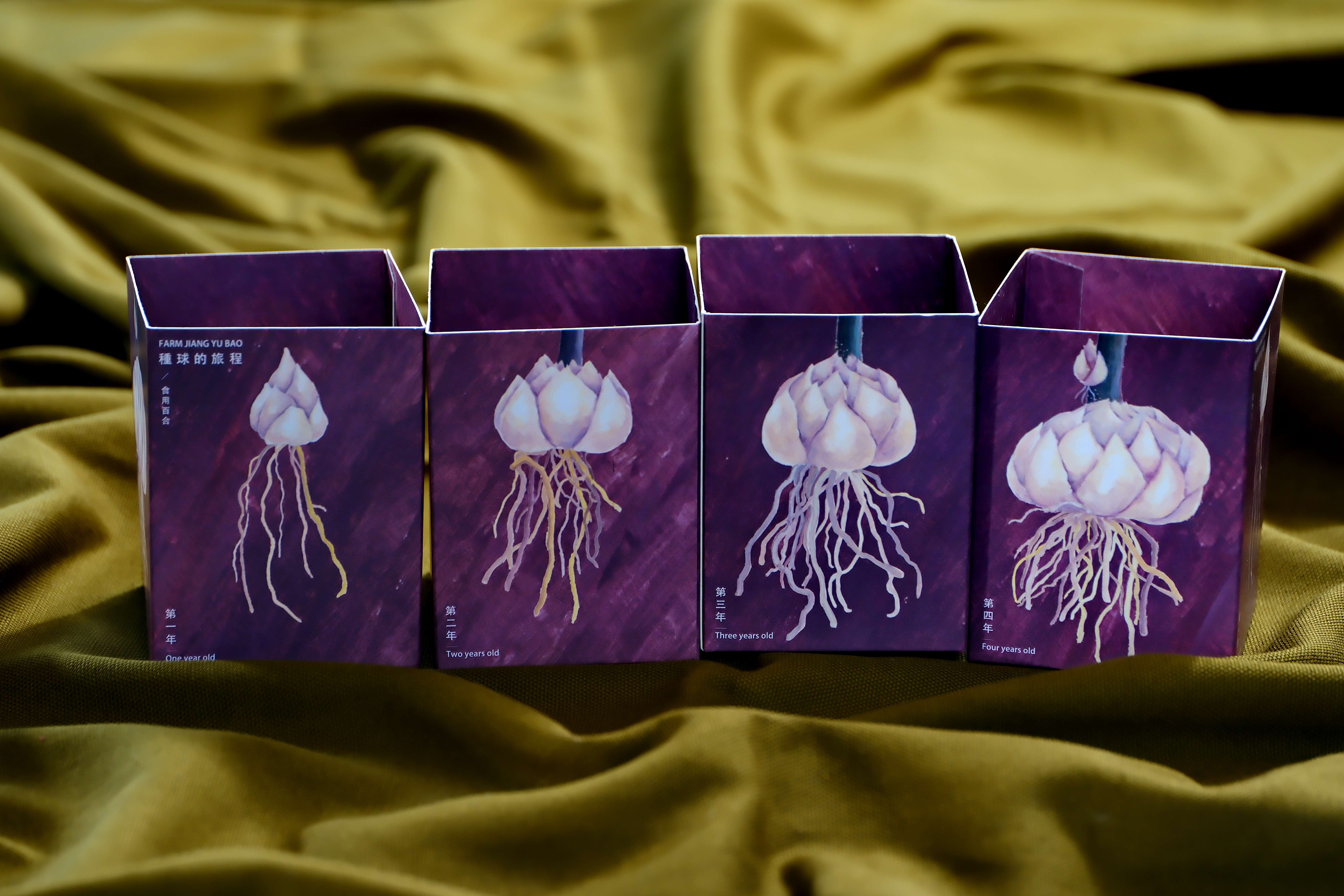 包裝盒上的種球畫作與設計，出自第四代接班人江孟璇之手。