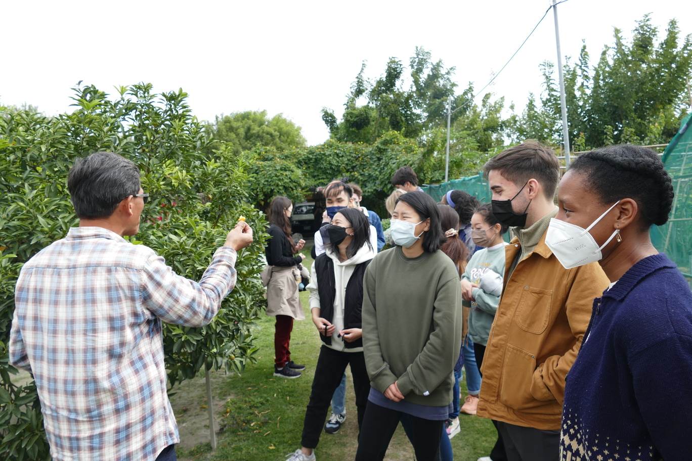 主人賴仲由為入園遊客導覽介紹果園。