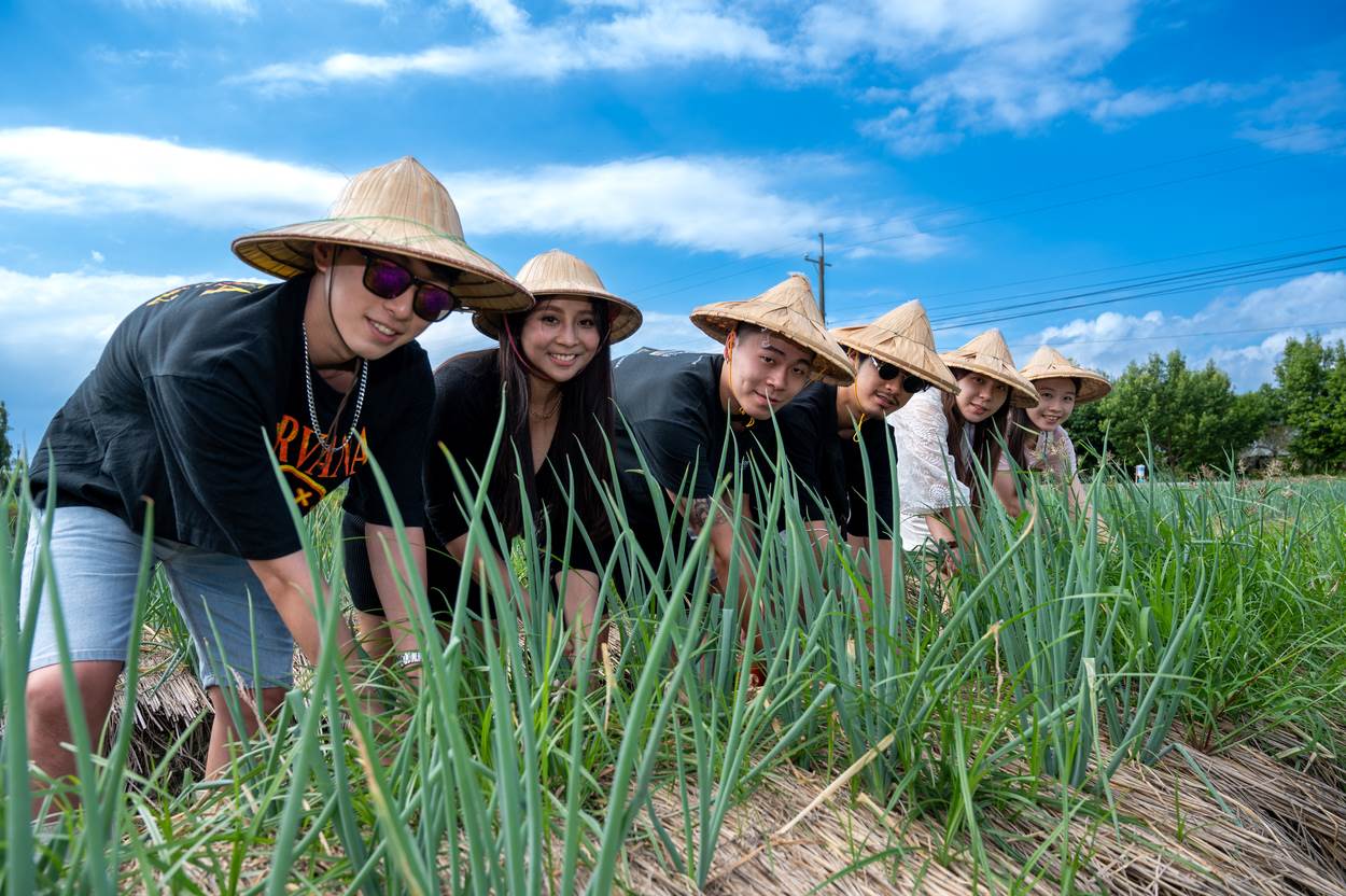 下田採蔥對都市人來說是很新奇的體驗。