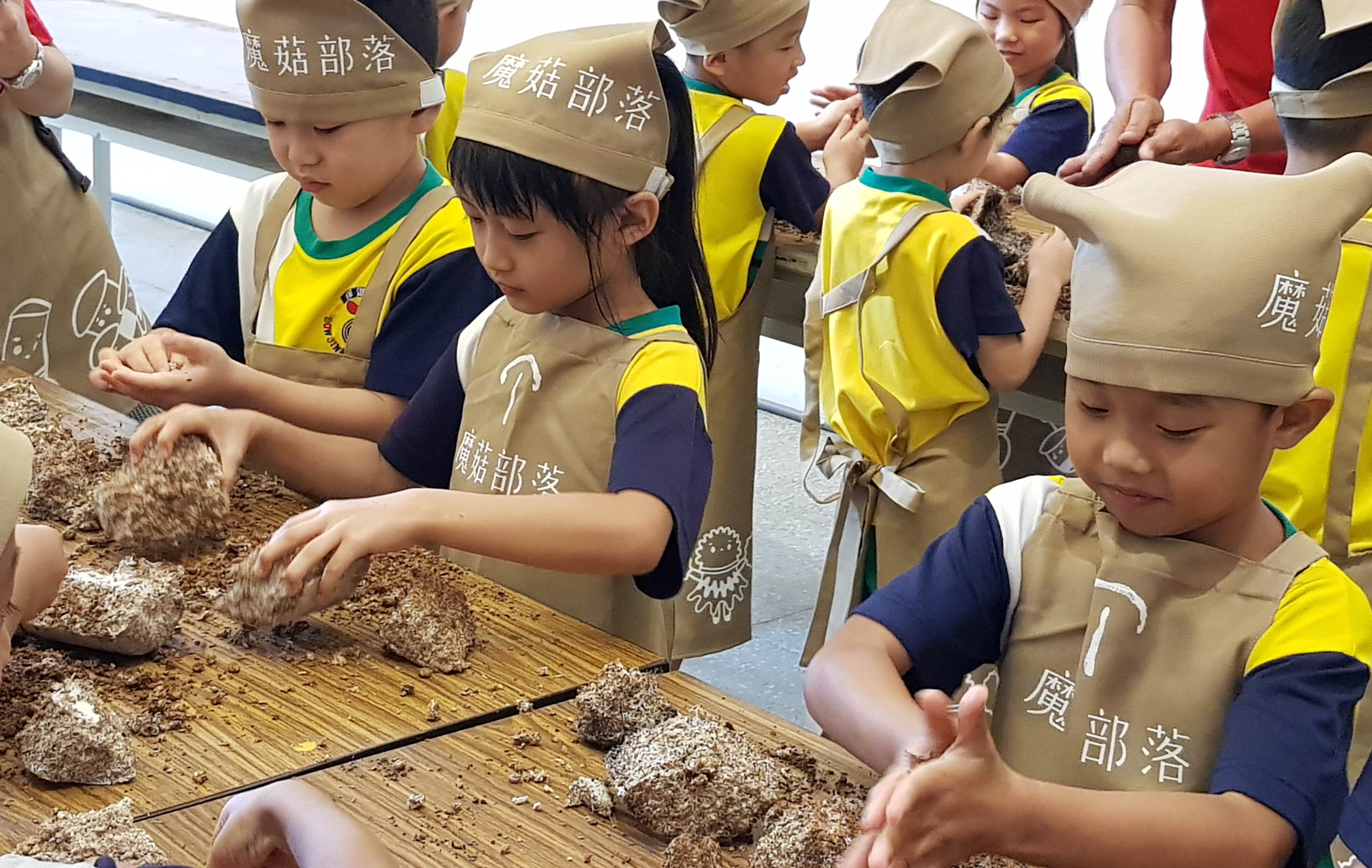 蕈菇產地農遊體驗之旅｜種菇DIY