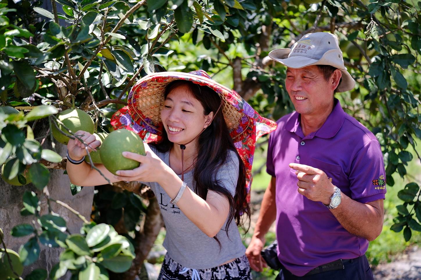 遊客體驗採果樂，廖坤郎先生親自講解，生動有趣，樂在其中。