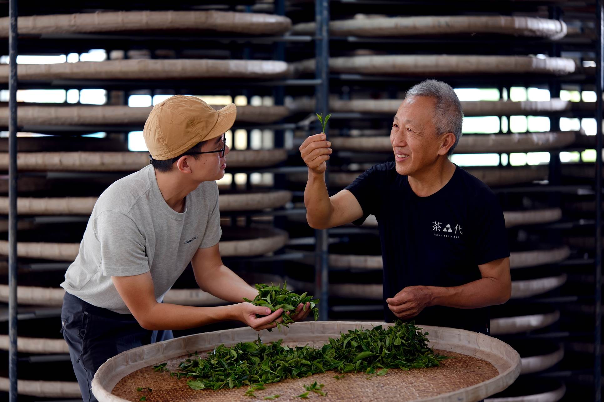 【手揉茶職人體驗】，時間約一小時，遊客可預約手揉茶DIY。