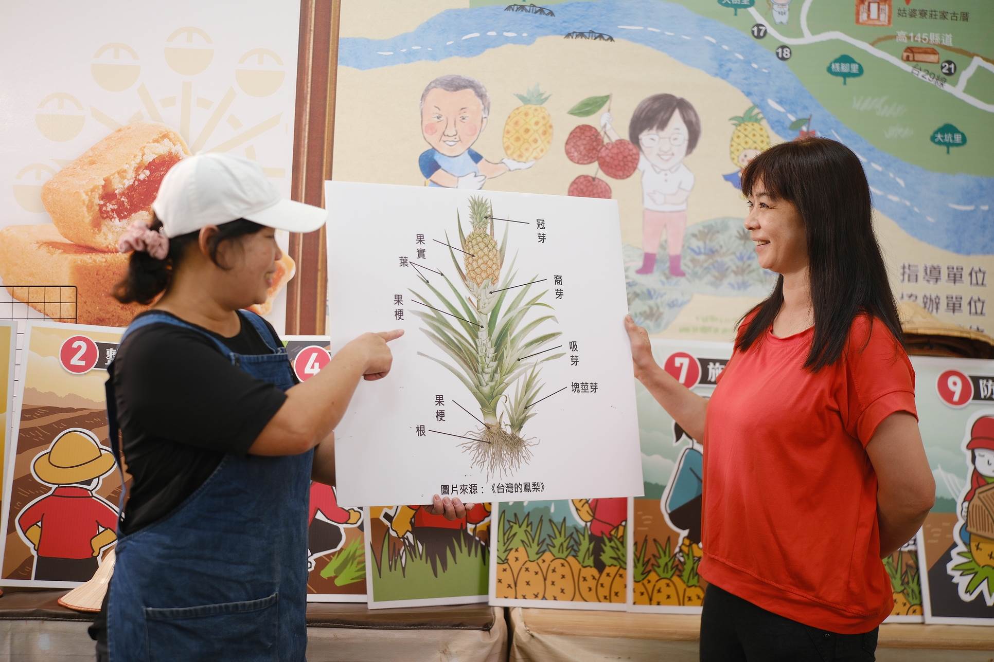 主人許瓈如跟遊客仔細解說鳳梨的一生。