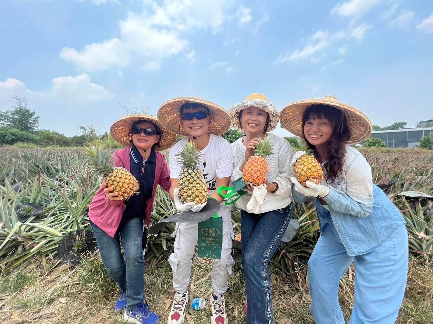 遊客體驗採果樂。