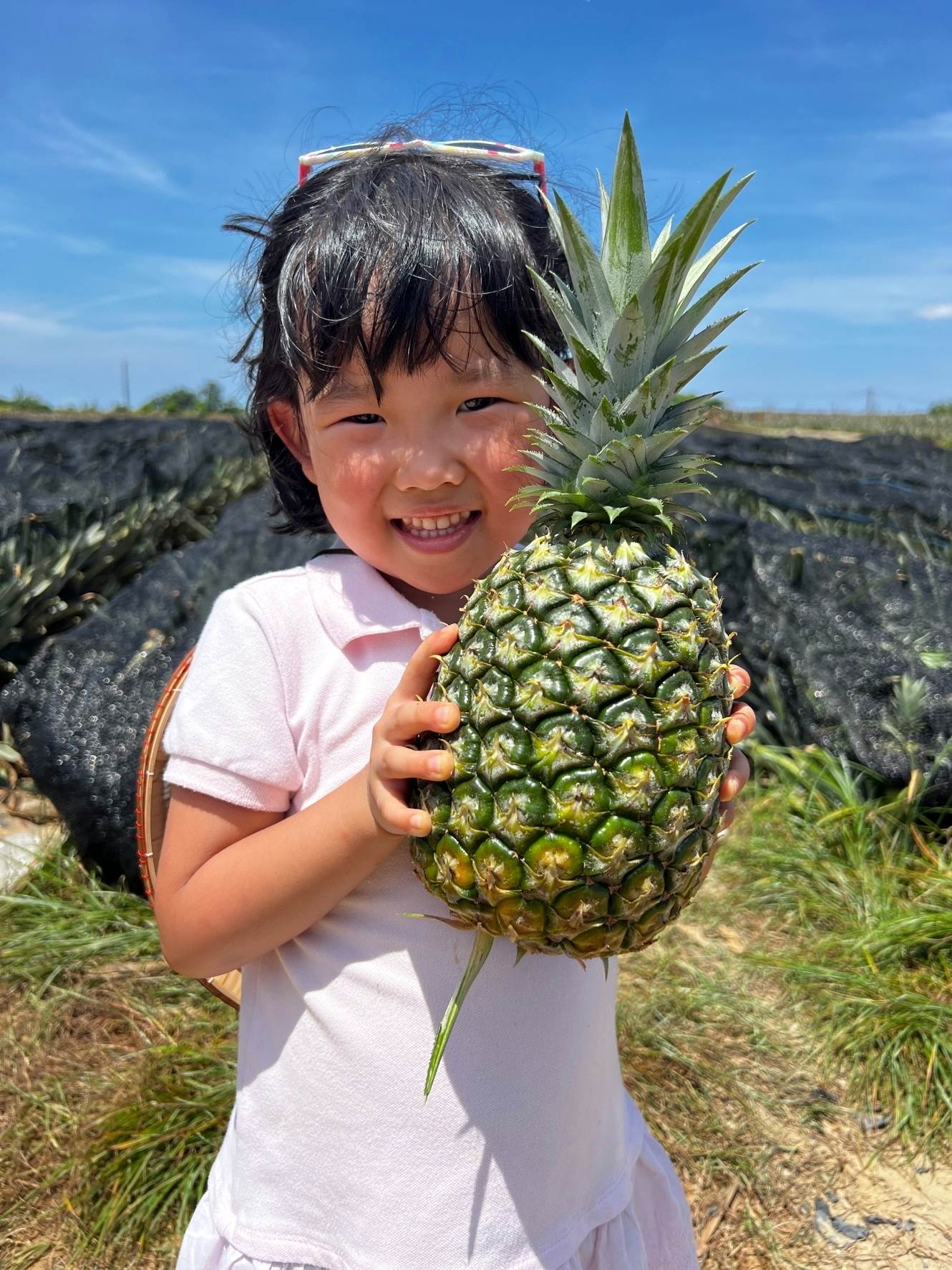 小朋友拿著比臉還大的鳳梨，笑得比陽光還燦爛！