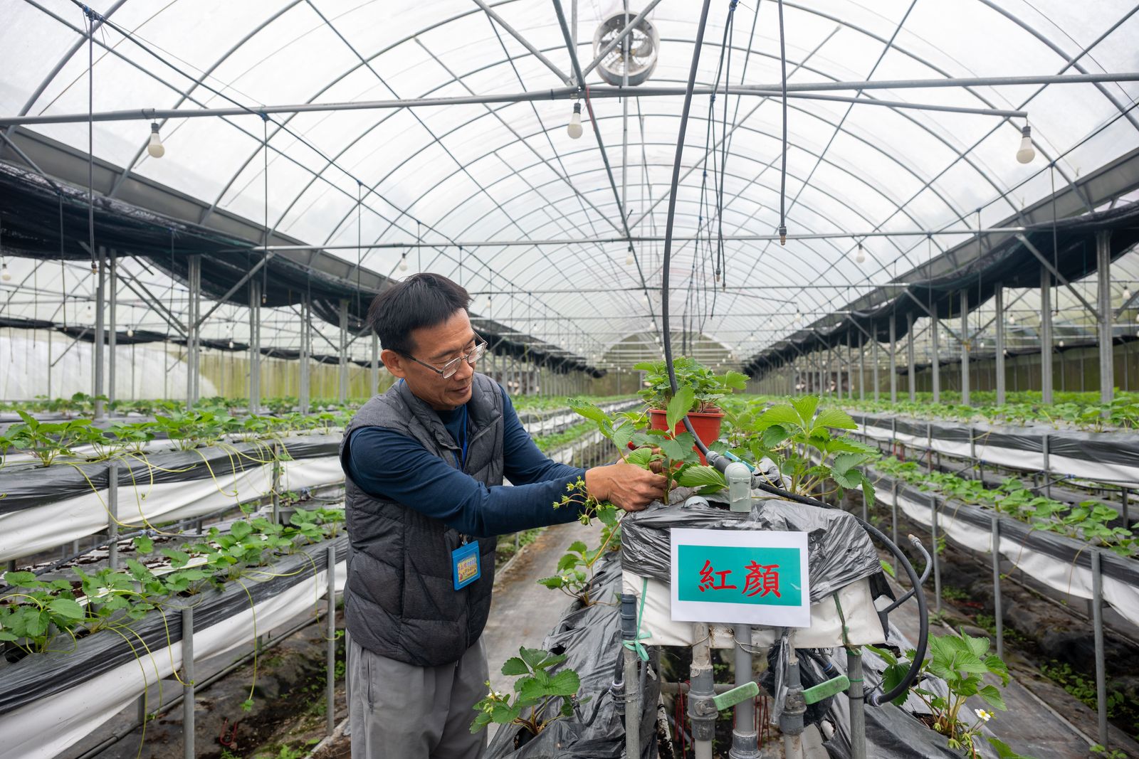 憑著高科技理工人解決問題的邏輯與能力，詹錫銘一人經營「上好林」，不但不覺得辛苦，還每天很有成就感能克服各種問題。