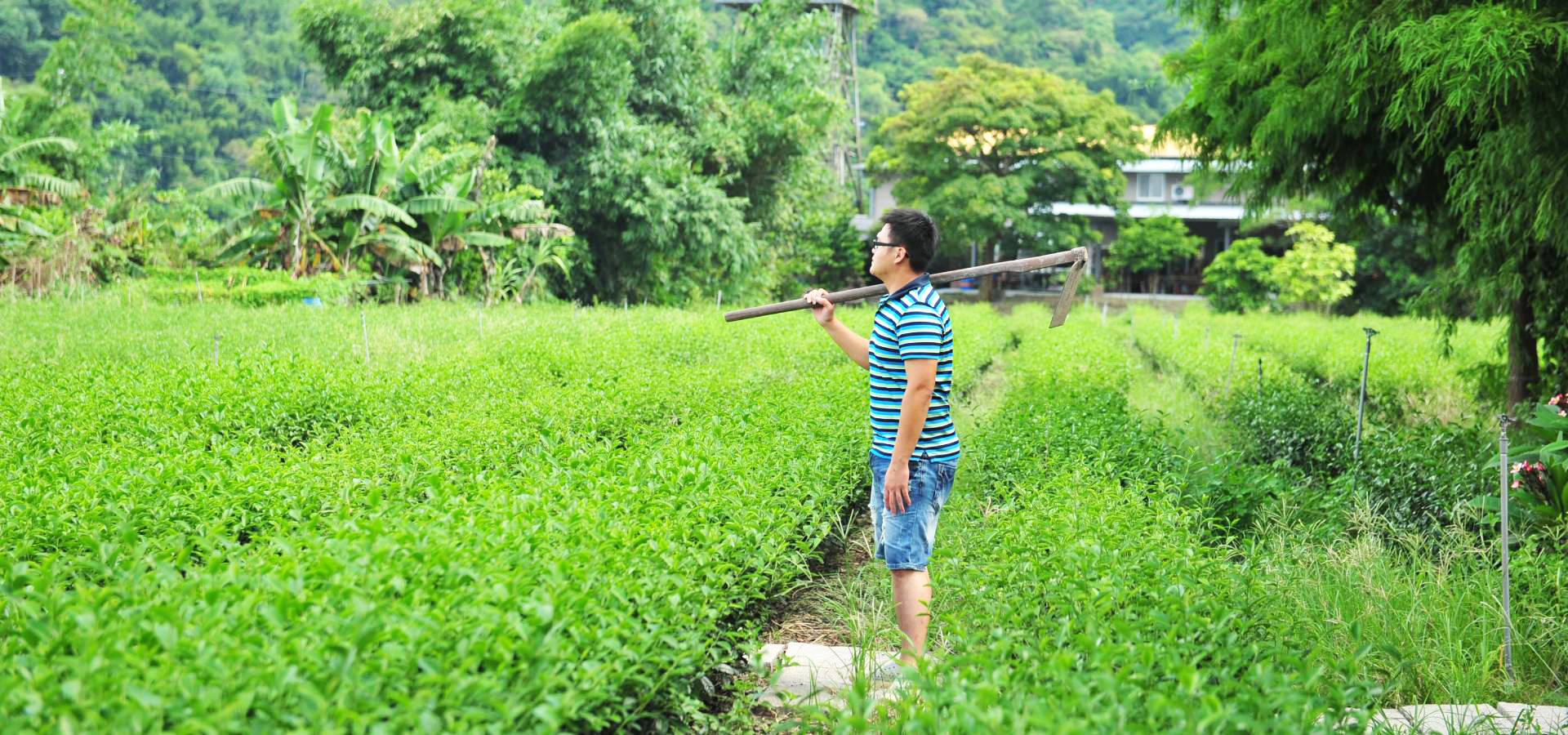 星源茶園第三代接班人劉景源，不僅僅是繼承茶園，更是重新定義了「農業」的價值。