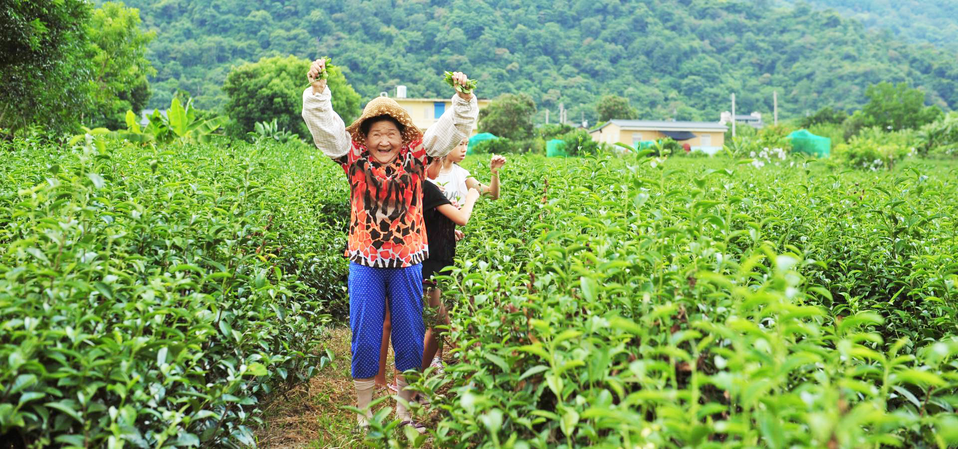 2008年開始發展體驗活動，逐漸轉型有機走向休閒農業領域