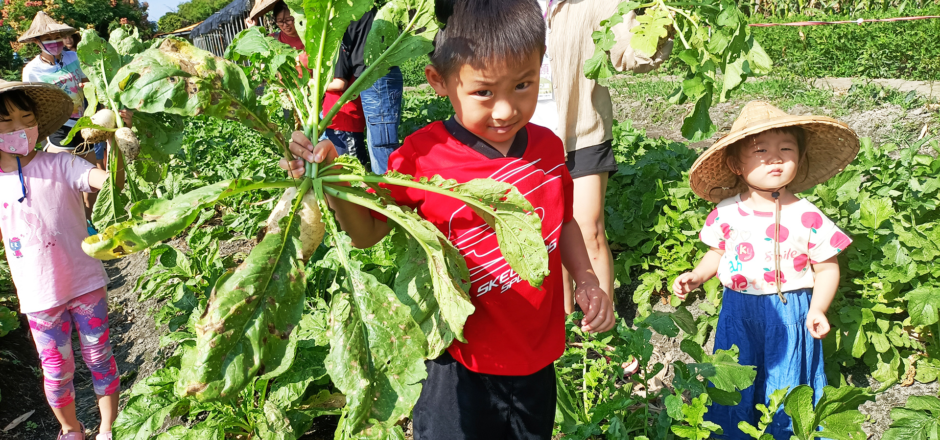 農事體驗(當季蔬果採摘)
