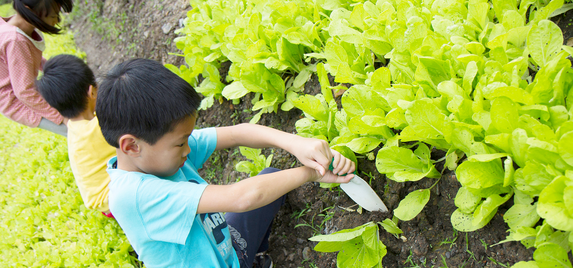 場內生態多樣性資源豐富