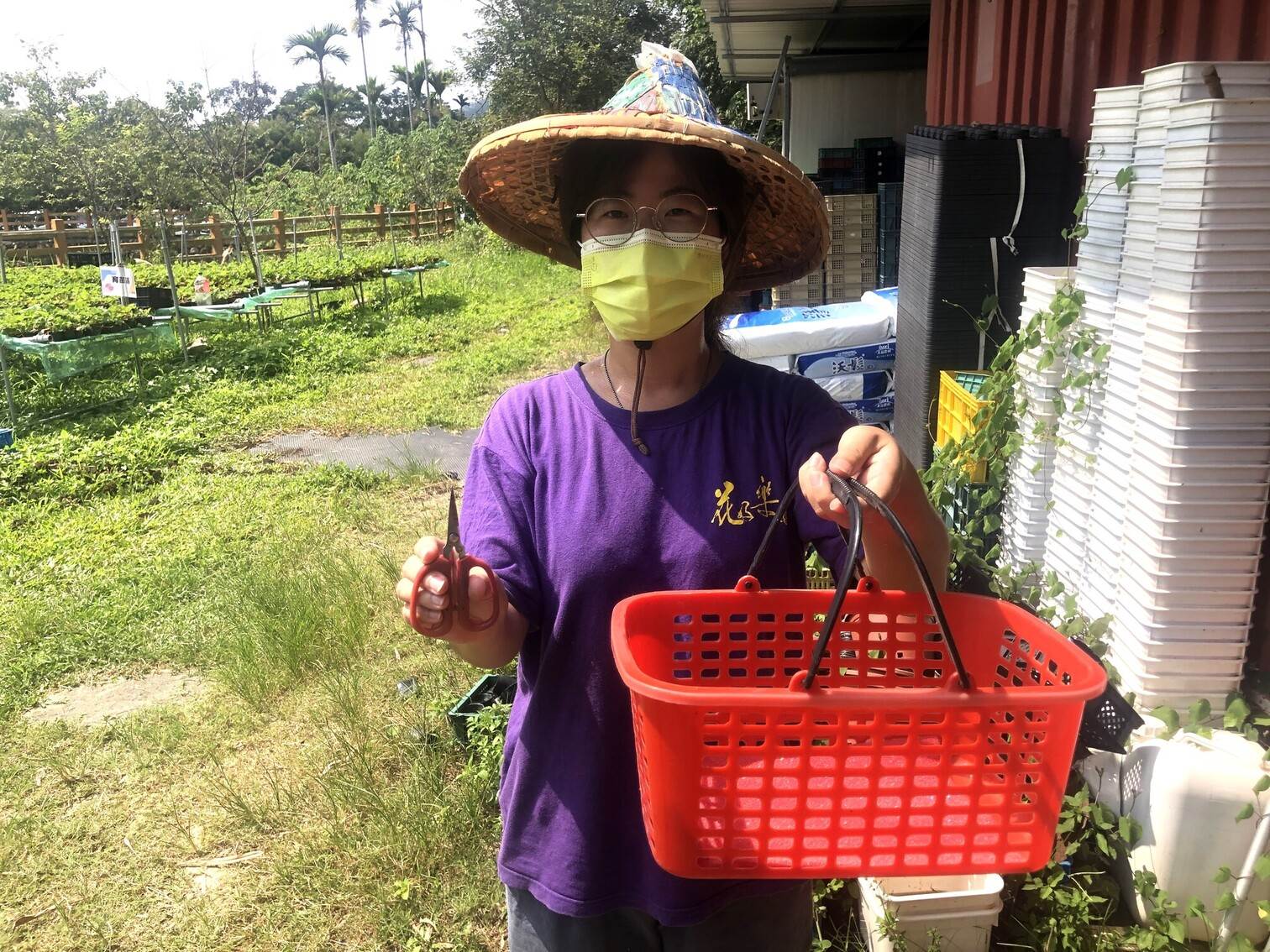 農場悉心準備籃子、剪刀，體驗食農教育的採收過程。
