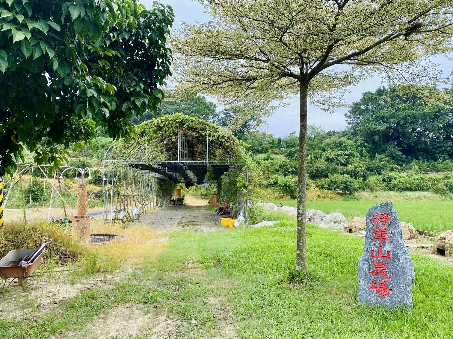 將軍山農場生態豐富，景緻迷人。