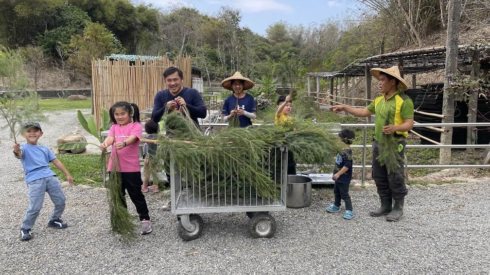 川山境茶樹精油體驗