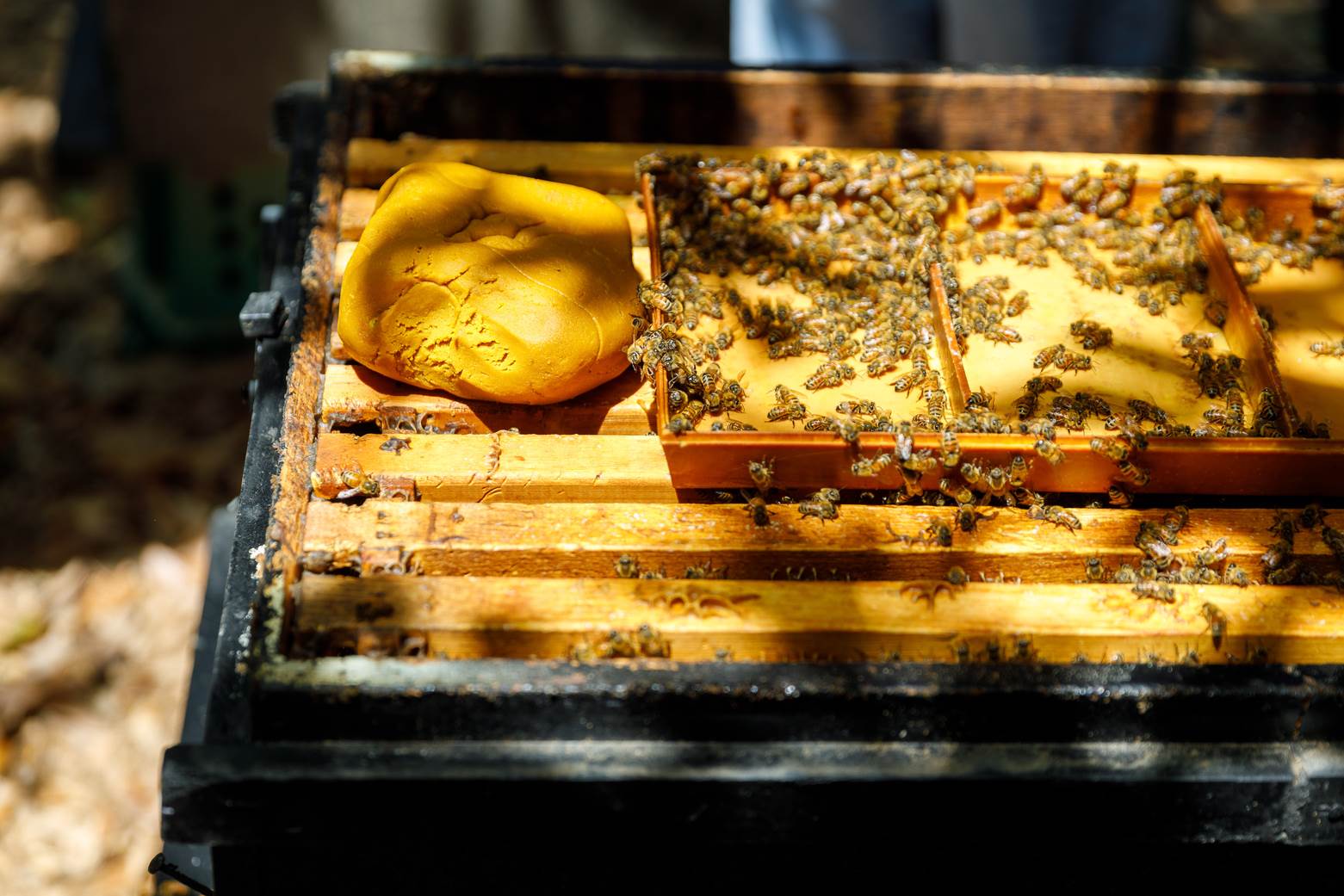 天氣不佳時蜜蜂會不想出門工作，就需要製作蜂糧餵食。