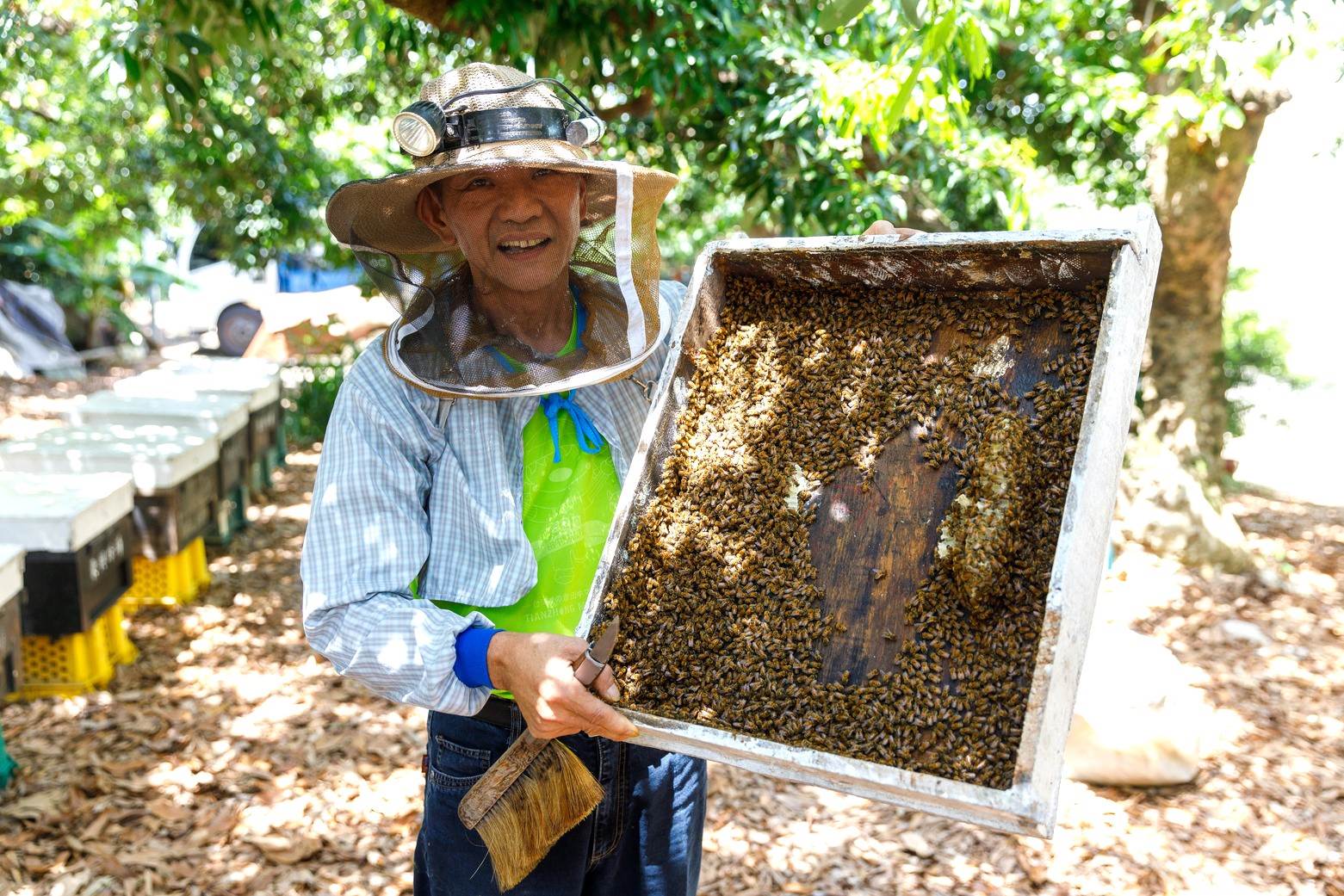 周沛鴻的父親打開蜂箱時，利用毛刷溫柔驅趕蜜蜂，因為每一隻蜜蜂都很珍貴。