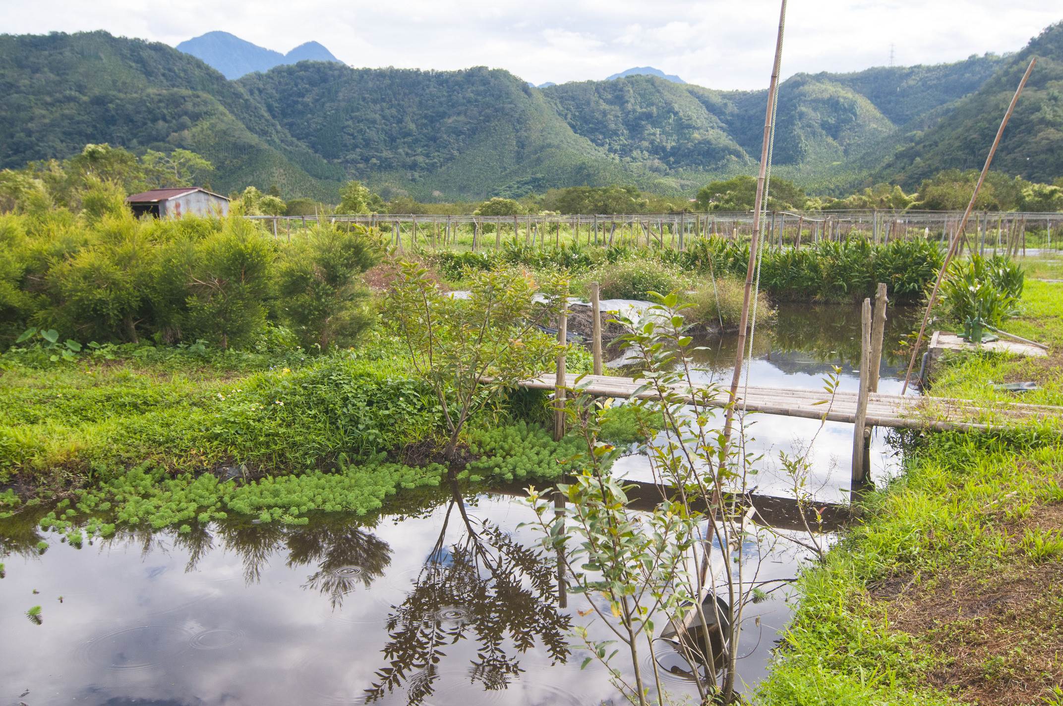 頭社羊角村群山環繞的盆地